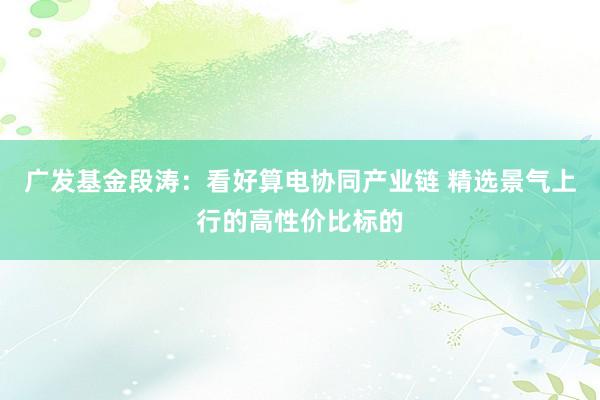 广发基金段涛：看好算电协同产业链 精选景气上行的高性价比标的