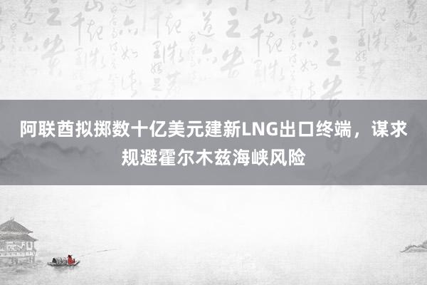 阿联酋拟掷数十亿美元建新LNG出口终端，谋求规避霍尔木兹海峡风险