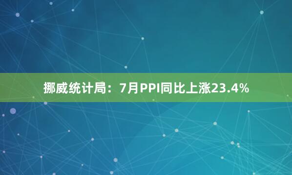 挪威统计局：7月PPI同比上涨23.4%