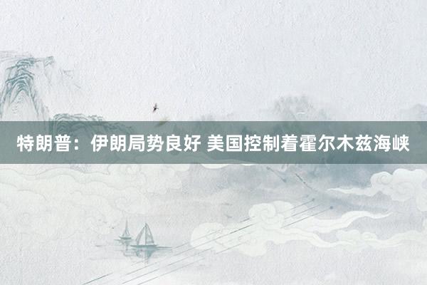 特朗普：伊朗局势良好 美国控制着霍尔木兹海峡