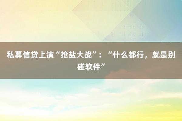 私募信贷上演“抢盐大战”：“什么都行，就是别碰软件”