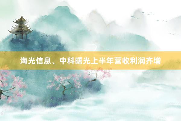 海光信息、中科曙光上半年营收利润齐增