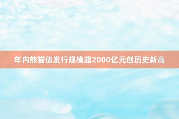 年内熊猫债发行规模超2000亿元创历史新高