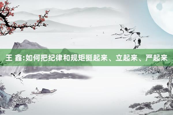 王 鑫:如何把纪律和规矩挺起来、立起来、严起来