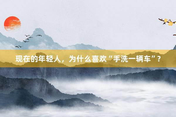 现在的年轻人，为什么喜欢“手洗一辆车”?