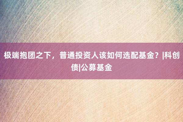 极端抱团之下，普通投资人该如何选配基金？|科创债|公募基金