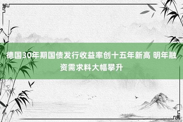 德国30年期国债发行收益率创十五年新高 明年融资需求料大幅攀升