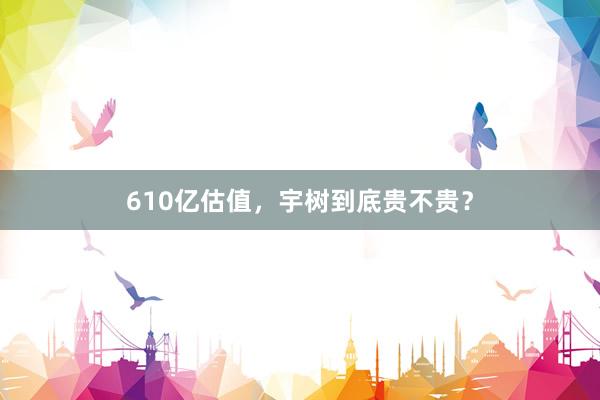610亿估值，宇树到底贵不贵？