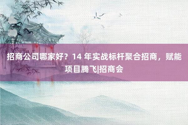 招商公司哪家好？14 年实战标杆聚合招商，赋能项目腾飞|招商会