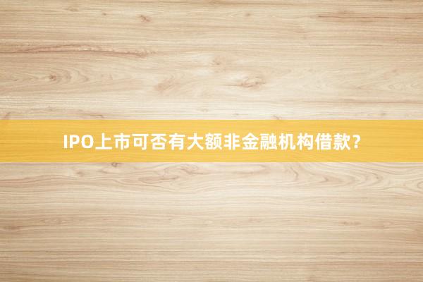 IPO上市可否有大额非金融机构借款？