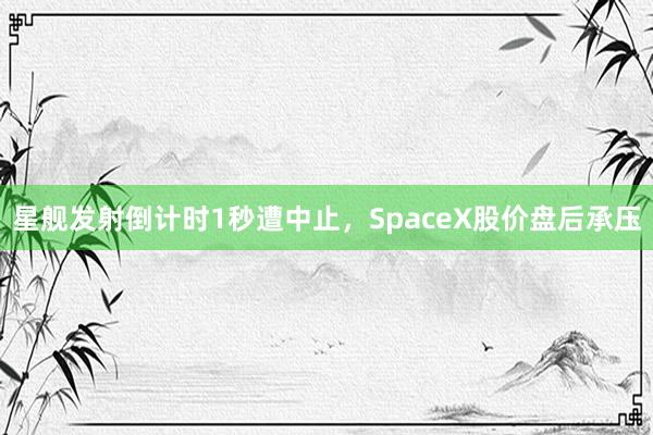 星舰发射倒计时1秒遭中止，SpaceX股价盘后承压