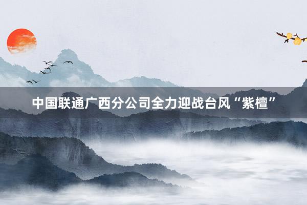 中国联通广西分公司全力迎战台风“紫檀”