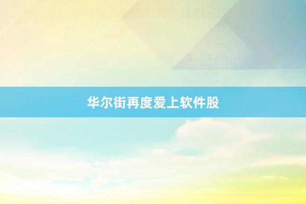 华尔街再度爱上软件股