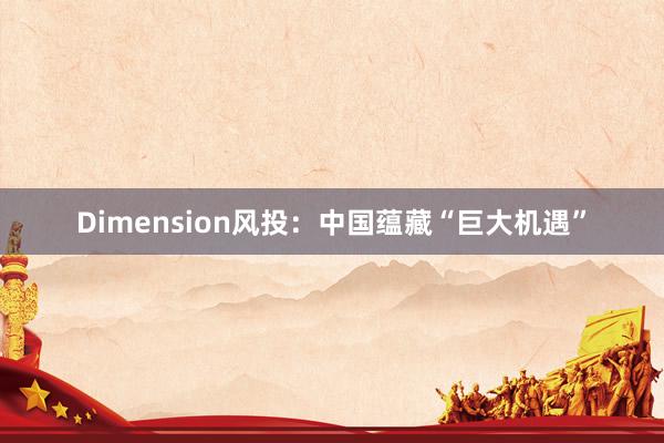 Dimension风投：中国蕴藏“巨大机遇”