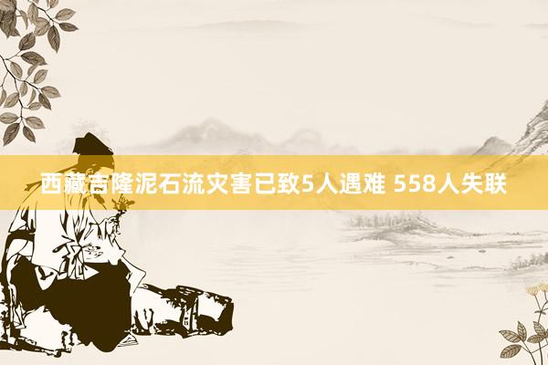西藏吉隆泥石流灾害已致5人遇难 558人失联