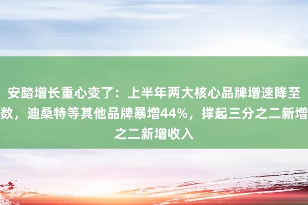 安踏增长重心变了：上半年两大核心品牌增速降至个位数，迪桑特等其他品牌暴增44%，撑起三分之二新增收入