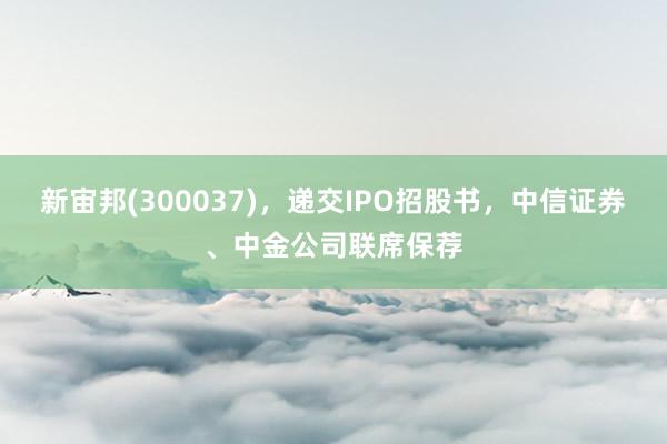 新宙邦(300037)，递交IPO招股书，中信证券、中金公司联席保荐
