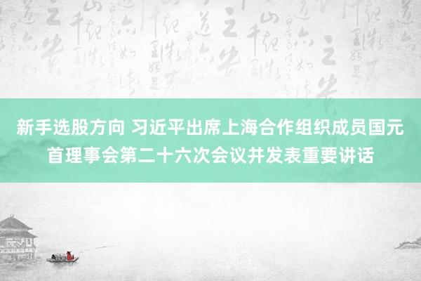新手选股方向 习近平出席上海合作组织成员国元首理事会第二十六次会议并发表重要讲话