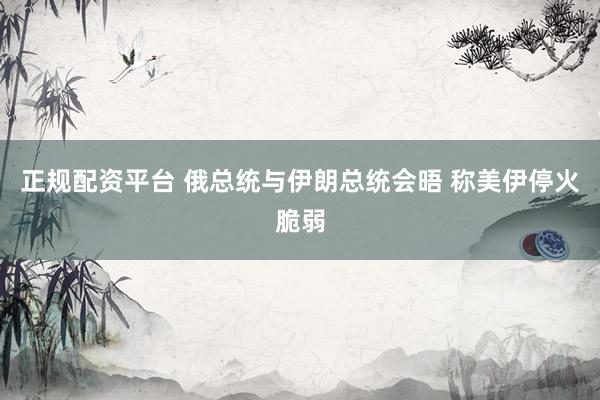 正规配资平台 俄总统与伊朗总统会晤 称美伊停火脆弱
