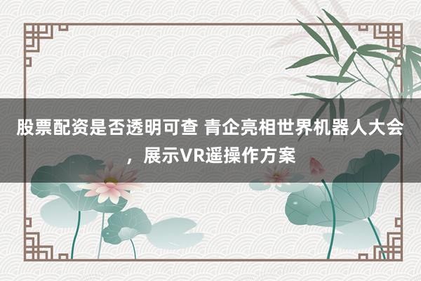 股票配资是否透明可查 青企亮相世界机器人大会，展示VR遥操作方案