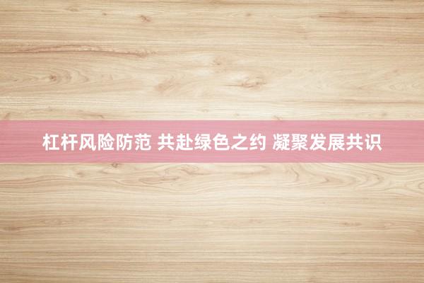 杠杆风险防范 共赴绿色之约 凝聚发展共识