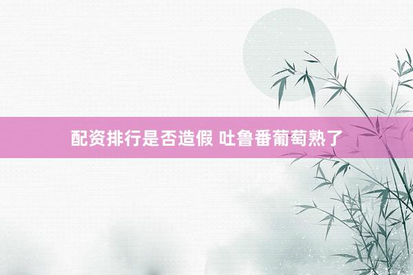 配资排行是否造假 吐鲁番葡萄熟了