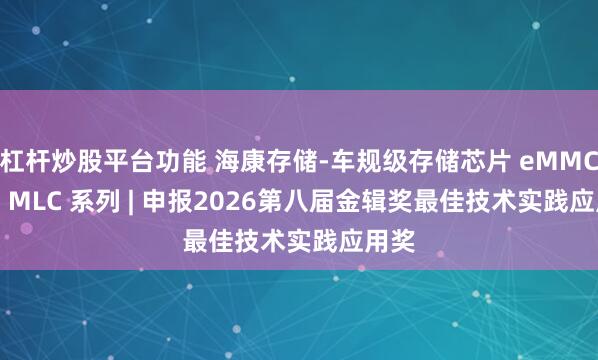 杠杆炒股平台功能 海康存储-车规级存储芯片 eMMC 5.1 MLC 系列 | 申报2026第八届金辑奖最佳技术实践应用奖