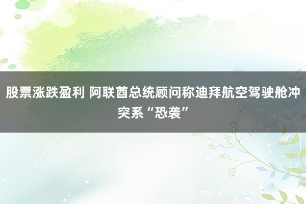 股票涨跌盈利 阿联酋总统顾问称迪拜航空驾驶舱冲突系“恐袭”