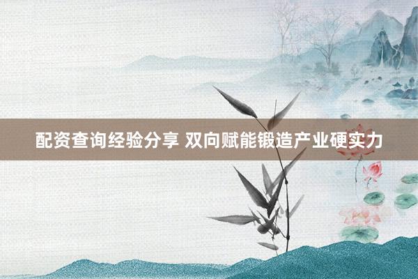 配资查询经验分享 双向赋能锻造产业硬实力