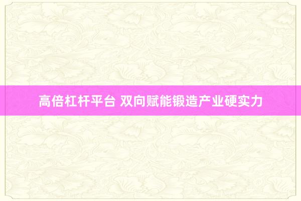 高倍杠杆平台 双向赋能锻造产业硬实力