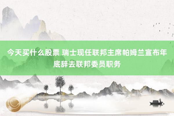 今天买什么股票 瑞士现任联邦主席帕姆兰宣布年底辞去联邦委员职务