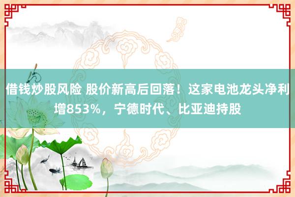 借钱炒股风险 股价新高后回落！这家电池龙头净利增853%，宁德时代、比亚迪持股