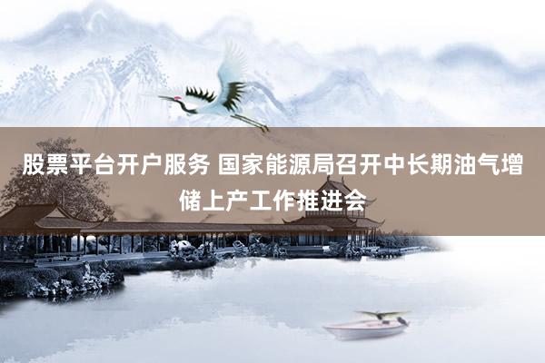 股票平台开户服务 国家能源局召开中长期油气增储上产工作推进会