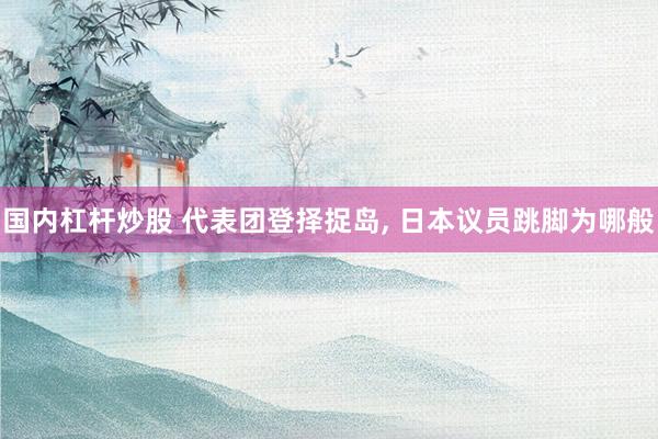 国内杠杆炒股 代表团登择捉岛, 日本议员跳脚为哪般