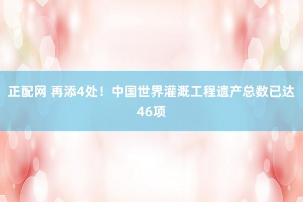 正配网 再添4处！中国世界灌溉工程遗产总数已达46项