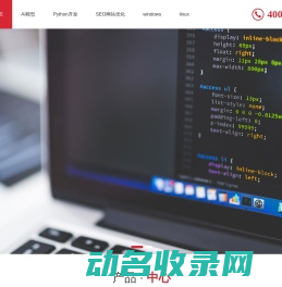 SEO推广公司